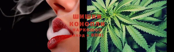 винт Абаза
