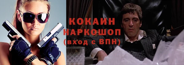 винт Абаза