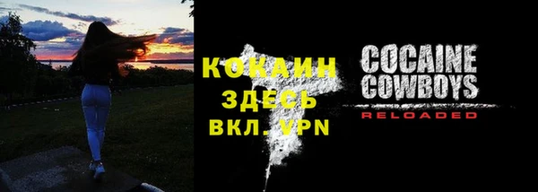 винт Абаза