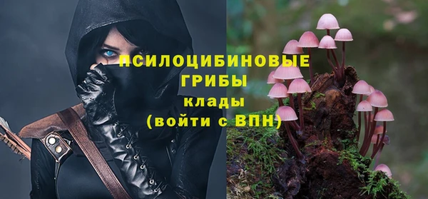 бутик Снежногорск