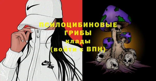 индика Архангельск