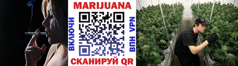 Марихуана Amnesia  Вытегра 